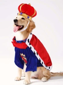 Pet King Hat, T-shirt And Cape Set For Dress-up - Multicolor - View 1