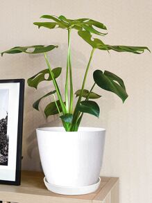 Macetas Para Plantas De Interior De 8 Pulgadas Con Orificio De Drenaje Y Platillo, 3 Paquetes De Macetas Ligeras De Resina Pequeñas Para Interior Y Exterior, Conjuntos Decorativos De Contenedores De Jardín De Imitación Retro Antigua Para Plantas De Interior