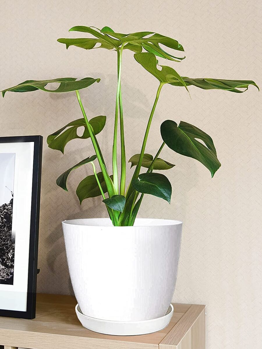 Macetas Para Plantas De Interior De 8 Pulgadas Con Orificio De Drenaje Y Platillo, 3 Paquetes De Macetas Ligeras De Resina Pequeñas Para Interior Y Exterior, Conjuntos Decorativos De Contenedores De Jardín De Imitación Retro Antigua Para Plantas De Interior