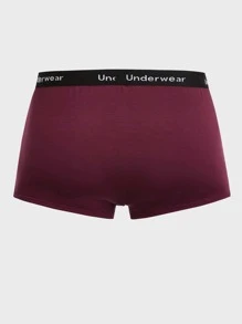 SHEIN Extended Sizes Men 5pcs Letter Tape Waist Boxer Brief - Multicolor - View 2