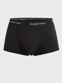 SHEIN Extended Sizes Men 5pcs Letter Tape Waist Boxer Brief - Multicolor - View 3