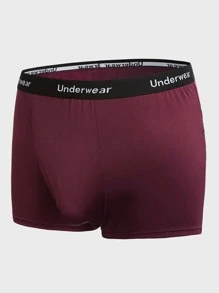 SHEIN Extended Sizes Men 5pcs Letter Tape Waist Boxer Brief - Multicolor - View 5