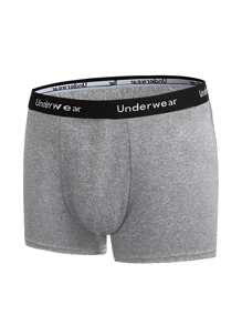 SHEIN Extended Sizes Men 5pcs Letter Tape Waist Boxer Brief - Multicolor - View 6