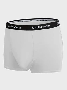 SHEIN Extended Sizes Men 5pcs Letter Tape Waist Boxer Brief - Multicolor - View 7