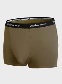 SHEIN Extended Sizes Men 5pcs Letter Tape Waist Boxer Brief - Multicolor - View 8