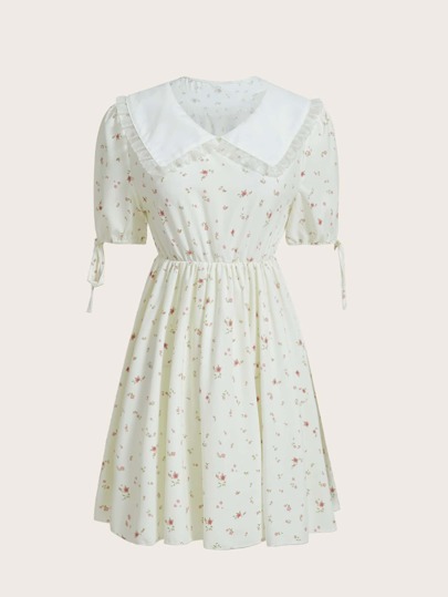 Ditsy Floral Print Contrast Collar Dress