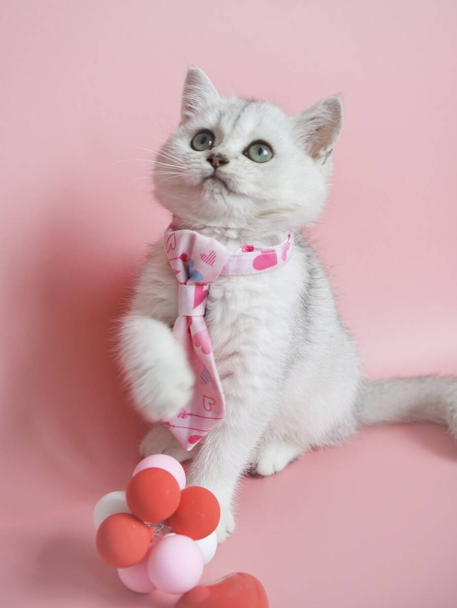 PINCOOL 1 pieza Collar para mascota con patrón de corazón con cordón - Rosa - Ver 1