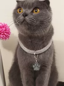 1件时尚优雅的宠物爪印水钻吊坠项链，适合宠物猫和小型犬作为居家和户外配饰（不适合大型犬）。 - 銀色 - 查看 3