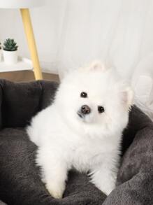 Two Tone Fuzzy Pet Bed - Light Grey - View 4