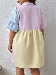 SHEIN EZwear Plus Colorblock Flounce Sleeve Ruffle Hem Smock Dress Pastel Dress