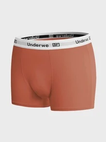 Men 5pcs Letter Graphic Boxer Brief - Multicolor - View 5