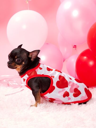 PETSIN 情人節1入組愛心圖案寵物背心