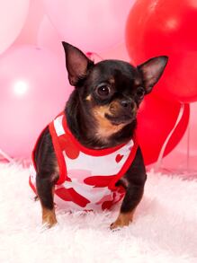 PETSIN 情人節1入組愛心圖案寵物背心 - 彩色 - 查看 4