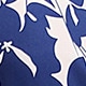 Blue and White