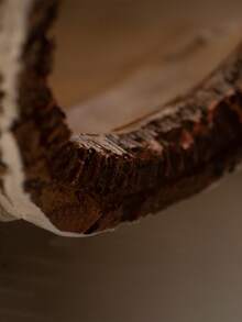 1pc Wooden Reptile Hiding Cave, Reptile Caves Artificial Birch Log Reptile Terrarium Decor - Multicolor - View 5