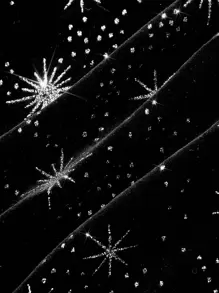 SHEIN MOD Star Pattern Velvet Cami Dress - Black - View 5