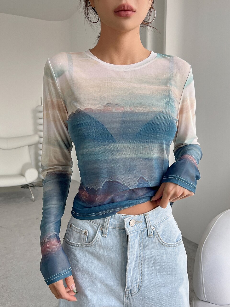 Landscape Print Sheer Top Long Sleeve Top