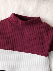 Toddler Boys Colourblock Mock Neck Sweatshirt & Joggers - Multicolor - View 6