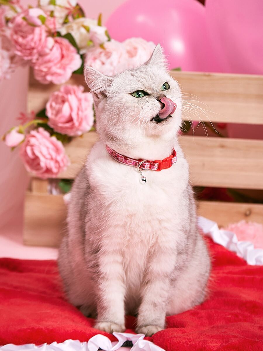 1pc Cartoon Cake Pattern Pet Collar - Multicolor - View 1