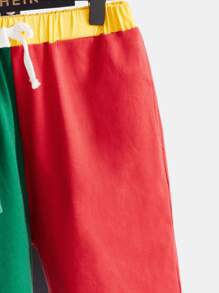 SHEIN Boys Letter Graphic Colourblock Hooded Tee & Track Shorts - Multicolor - View 3