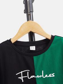 SHEIN Boys Letter Graphic Two Tone Tee & Shorts - Multicolor - View 4