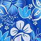 Blue and White