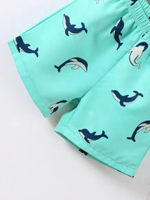 SHEIN 男童2入組休閒針織短袖polo衫和短褲,帶海豚刺繡設計,適用於夏季 - 彩色 - 查看 6