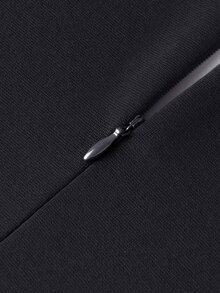 Đầm Chia Dây kéo Ruy băng Khối Màu Thanh lịch - màu đen - Xem 7