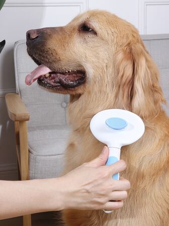 1入組撞色寵物梳子