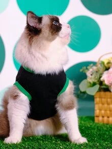 1pc Leaf & Letter Graphic Pet Tank - Green - View 2