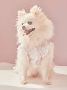 ROMWE Flower Pattern Bow Decor Pet Dress