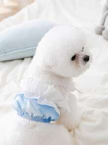 1pc Gradient Color Pet Tank - Blue and White - View 4