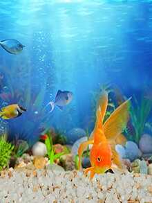 500 piezas guijarro decorativo brillante en oscuro - Blanco - Ver 6