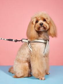 1pc Contrast Binding Pet Harness & 1pc Pet Leash - Grey - View 1