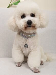 Pet Paw Print Pendant Necklace With Rhinestone Decor - Multicolor - View 2