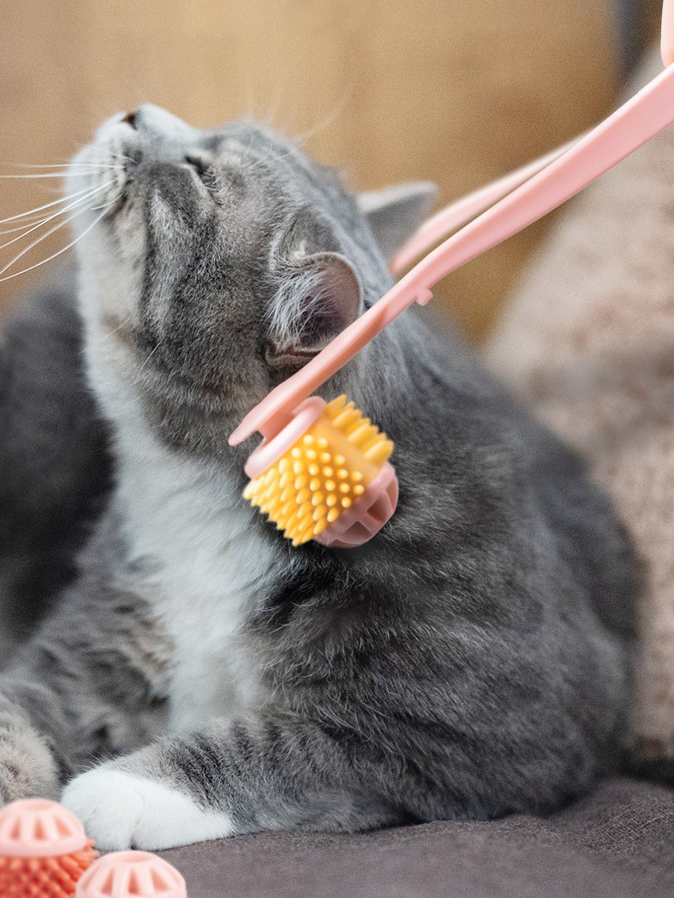 1pc Two Tone Random Pet Massage Brush - Multicolor - View 1