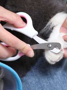 1 pieza Cortador de uñas de mascota de acero inoxidable & 1 pieza Molinillo - Multicolor - Ver 2