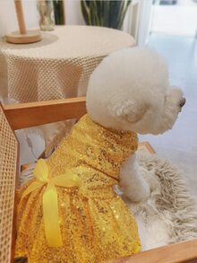 1pc Bow & Sequin Decor Pet Dress - Gold - View 2