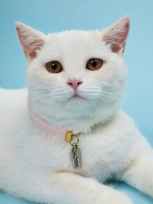 1 pieza Identificador para mascotas de acero inoxidable - Plateado - Ver 3