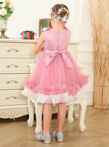 Toddler Girls Appliques Contrast Mesh Ruffle Hem Party Dress - Pink - View 2