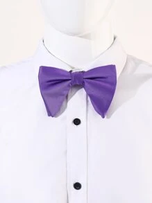 Men Solid Bow Tie - Purple - View 1