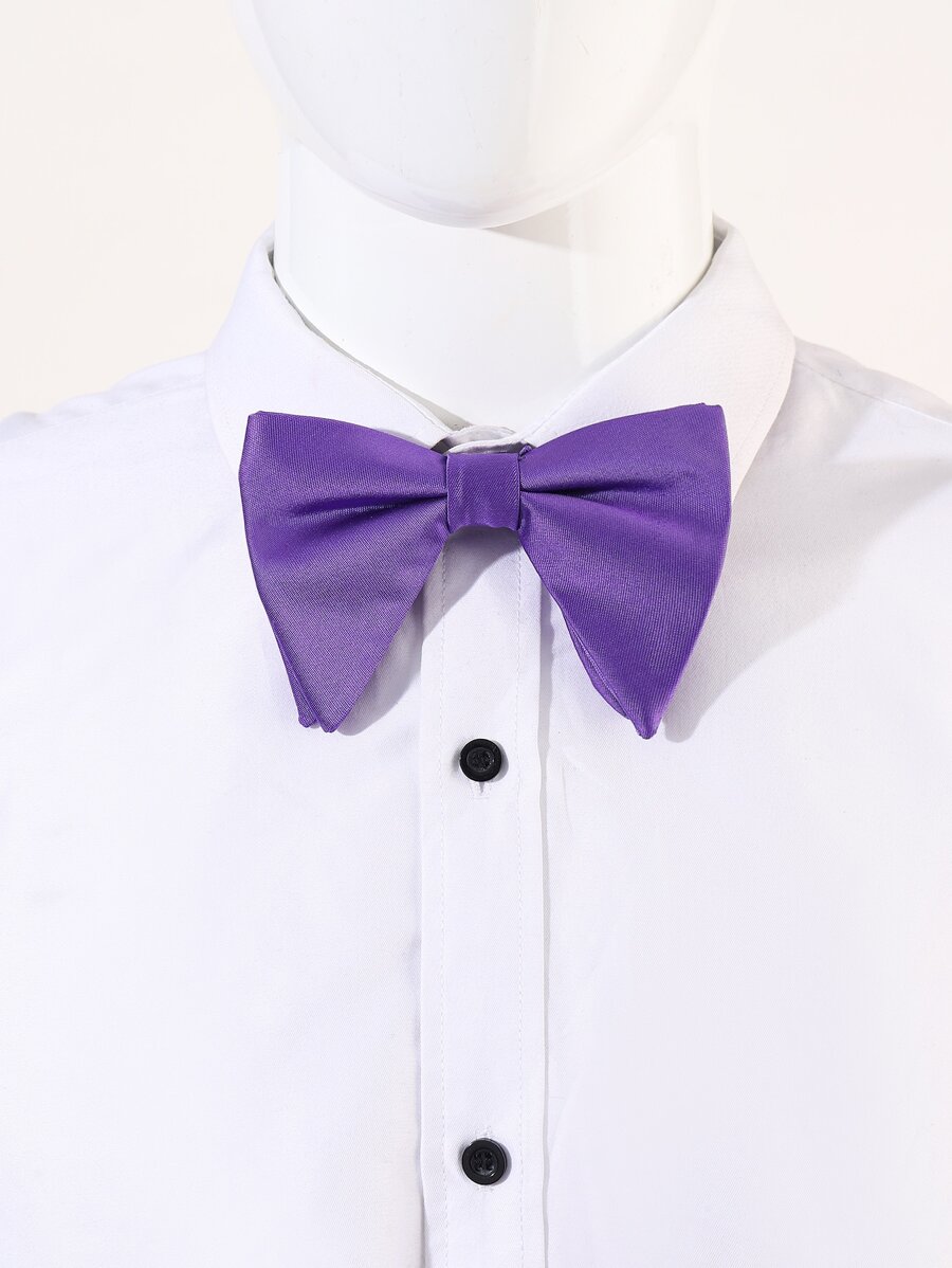Men Solid Bow Tie - Purple - View 1
