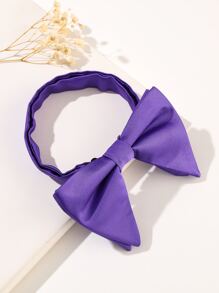 Men Solid Bow Tie - Purple - View 2