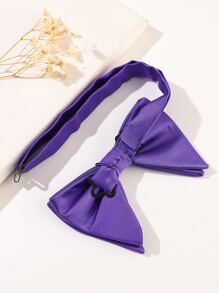 Men Solid Bow Tie - Purple - View 3