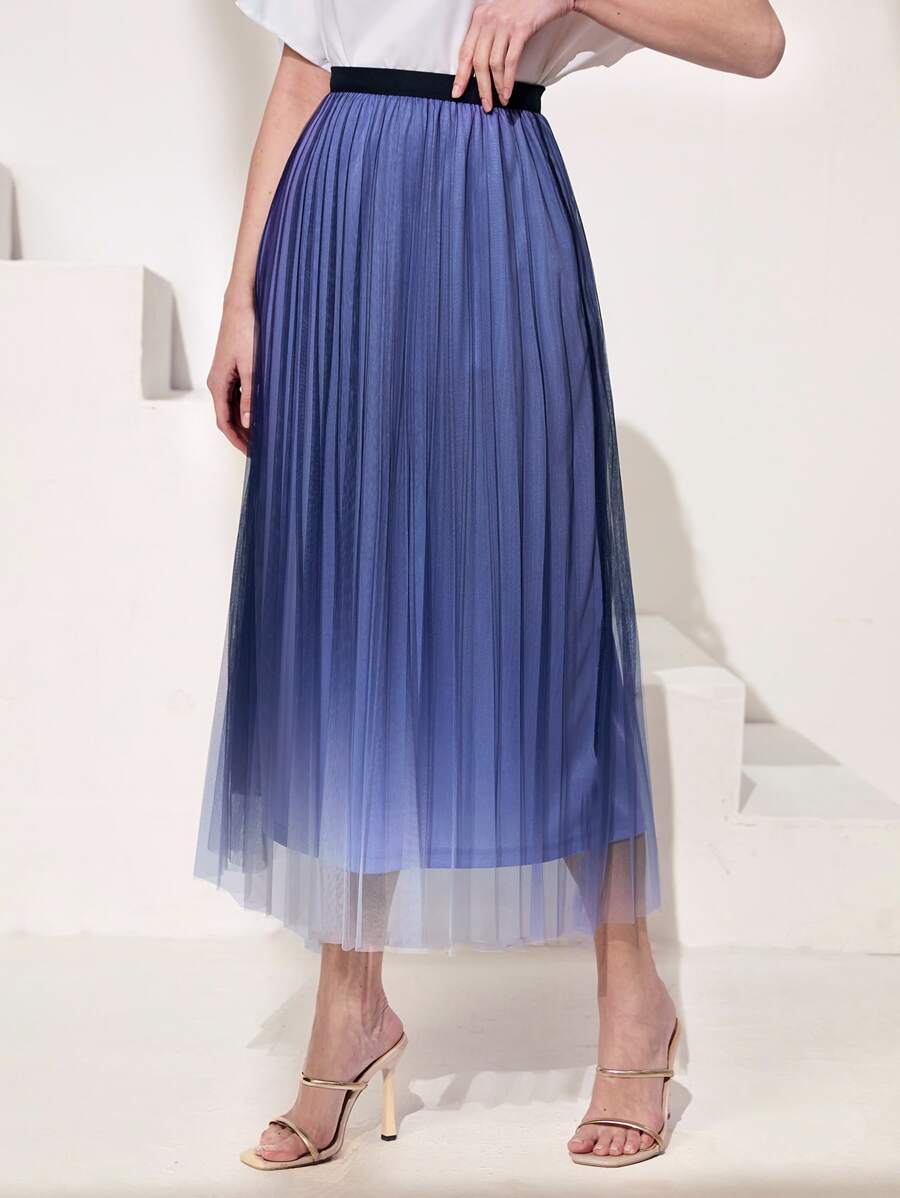 Mulvari Ombre Mesh Overlay Pleated Skirt | SHEIN USA