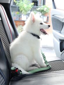 1pc Multifunction Pet Car Seat Belt - Green - View 2