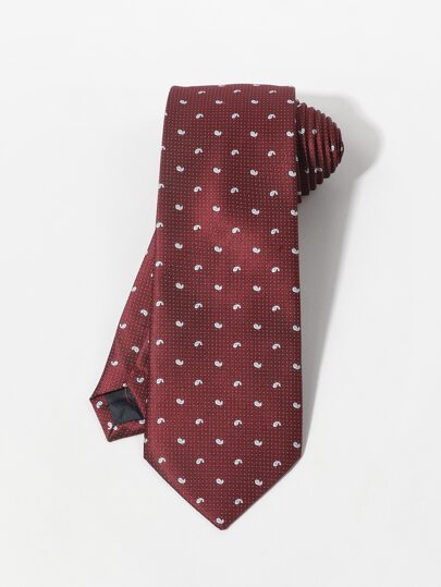 Men Paisley Embroidery Tie