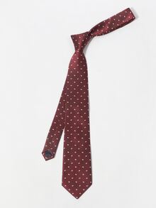 Men Paisley Embroidery Tie - Burgundy - View 2