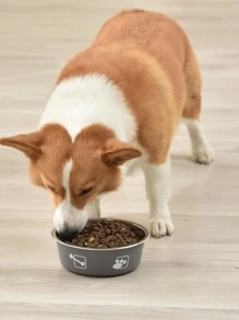 1pc Cartoon Graphic Stainless Steel Pet Bowl - Grey - View 4