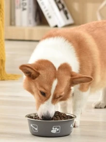 1pc Cartoon Graphic Stainless Steel Pet Bowl - Grey - View 5